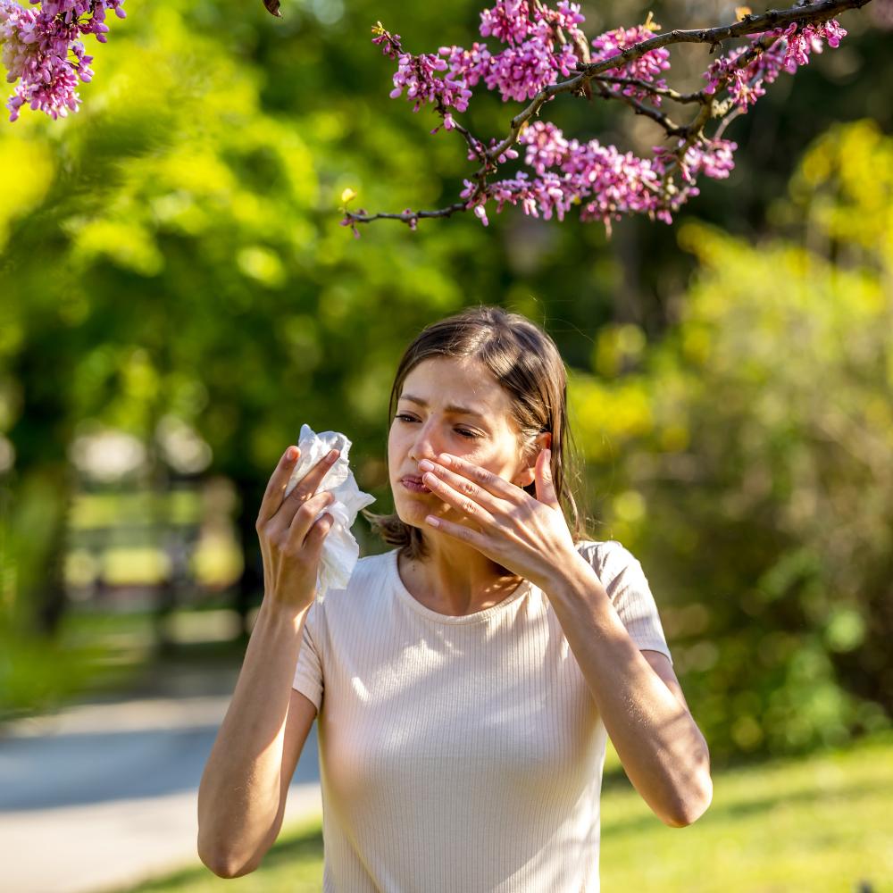 Advanced allergy testing clinic environment
