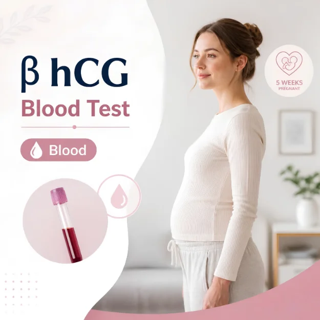β hCG Blood Test